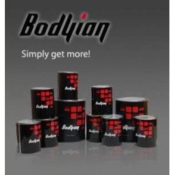 Bodyian Basecoat Colour Mix (any colour)