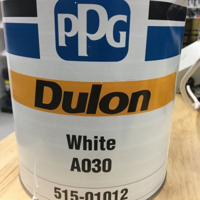 Dulon A030 White 4L