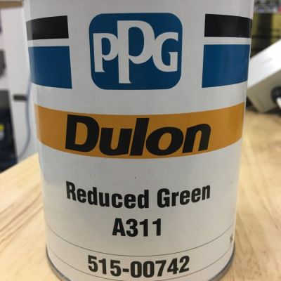 Dulon A311 Reduced Green 1L